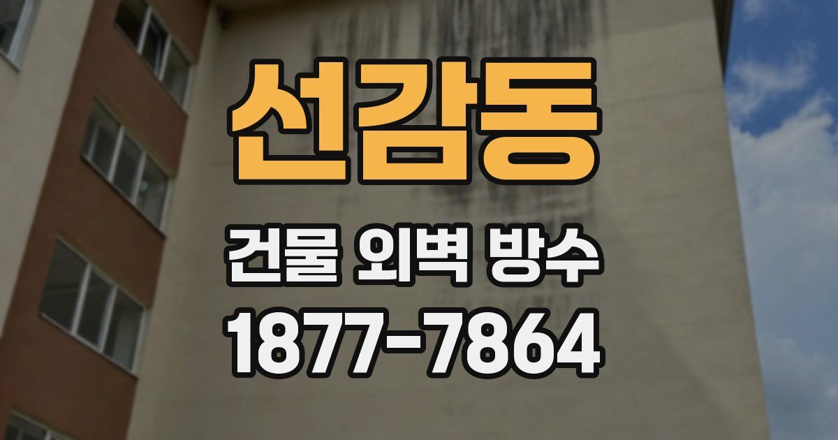 선감동 건물 외벽 방수