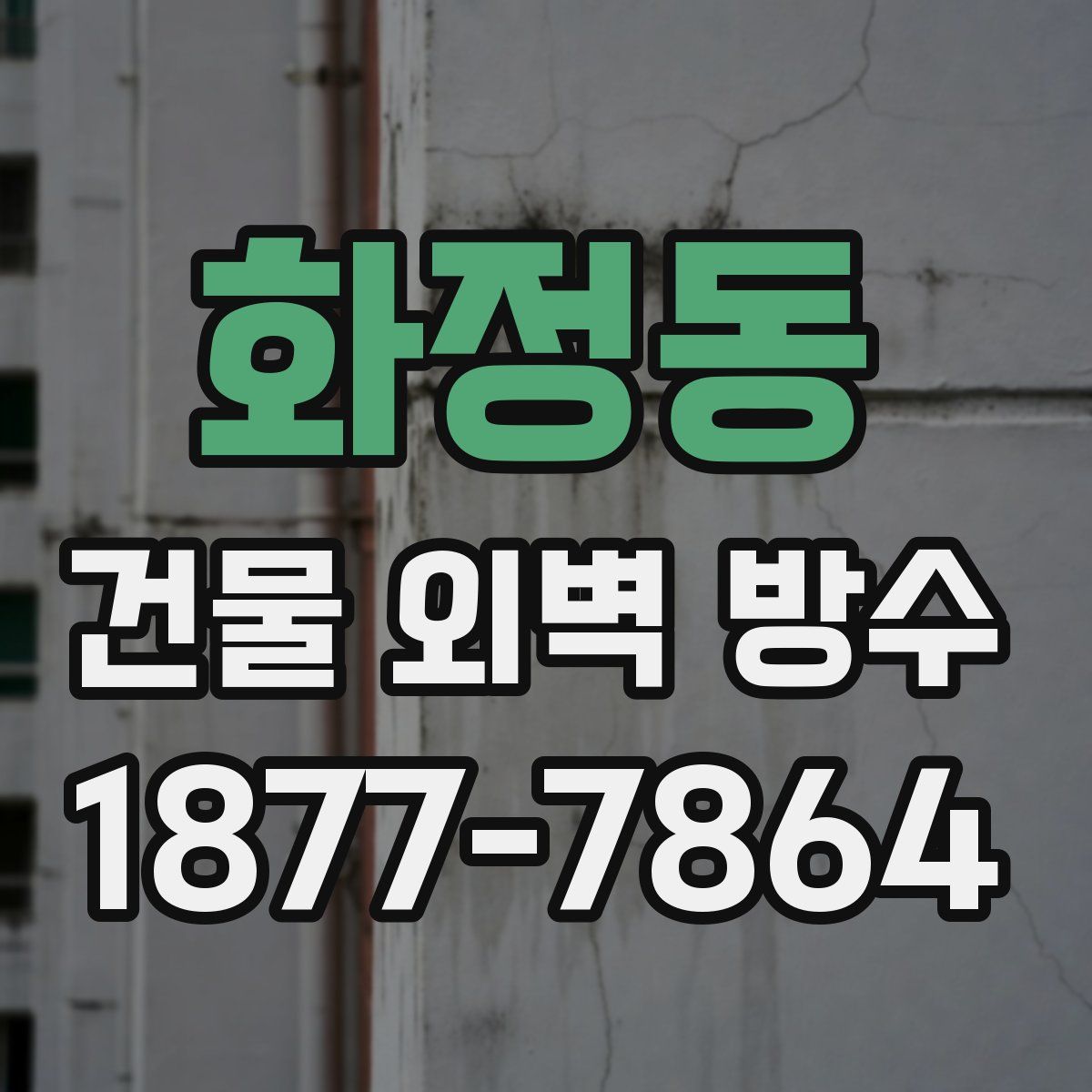 화정동 건물 외벽 방수