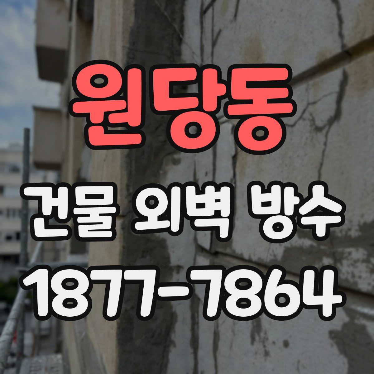 원당동 건물 외벽 방수