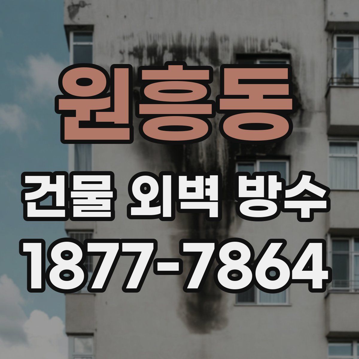 원흥동 건물 외벽 방수