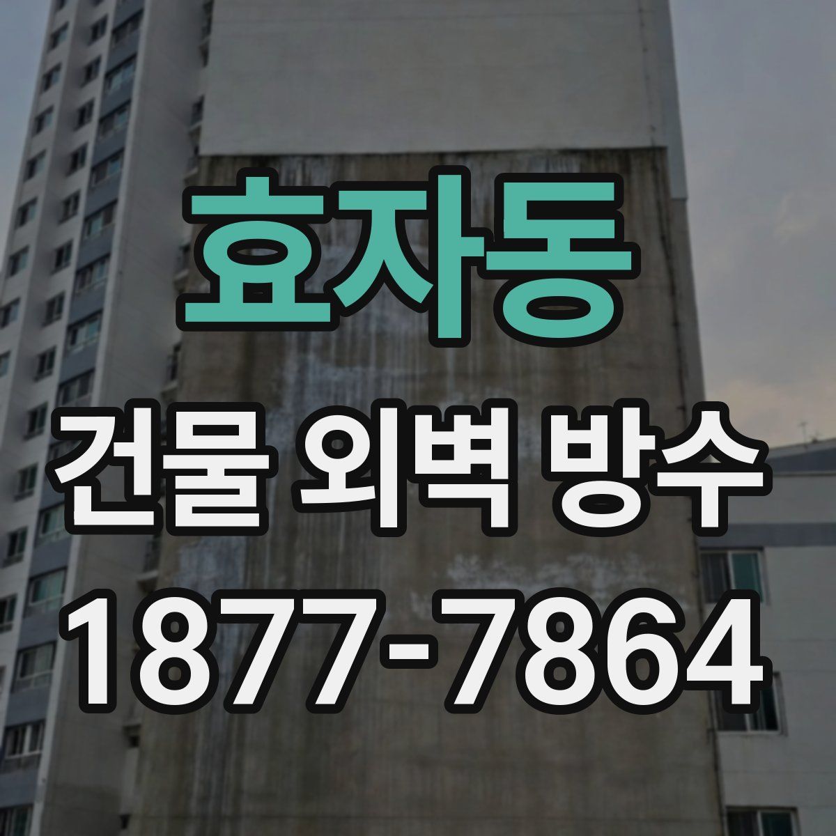 효자동 건물 외벽 방수