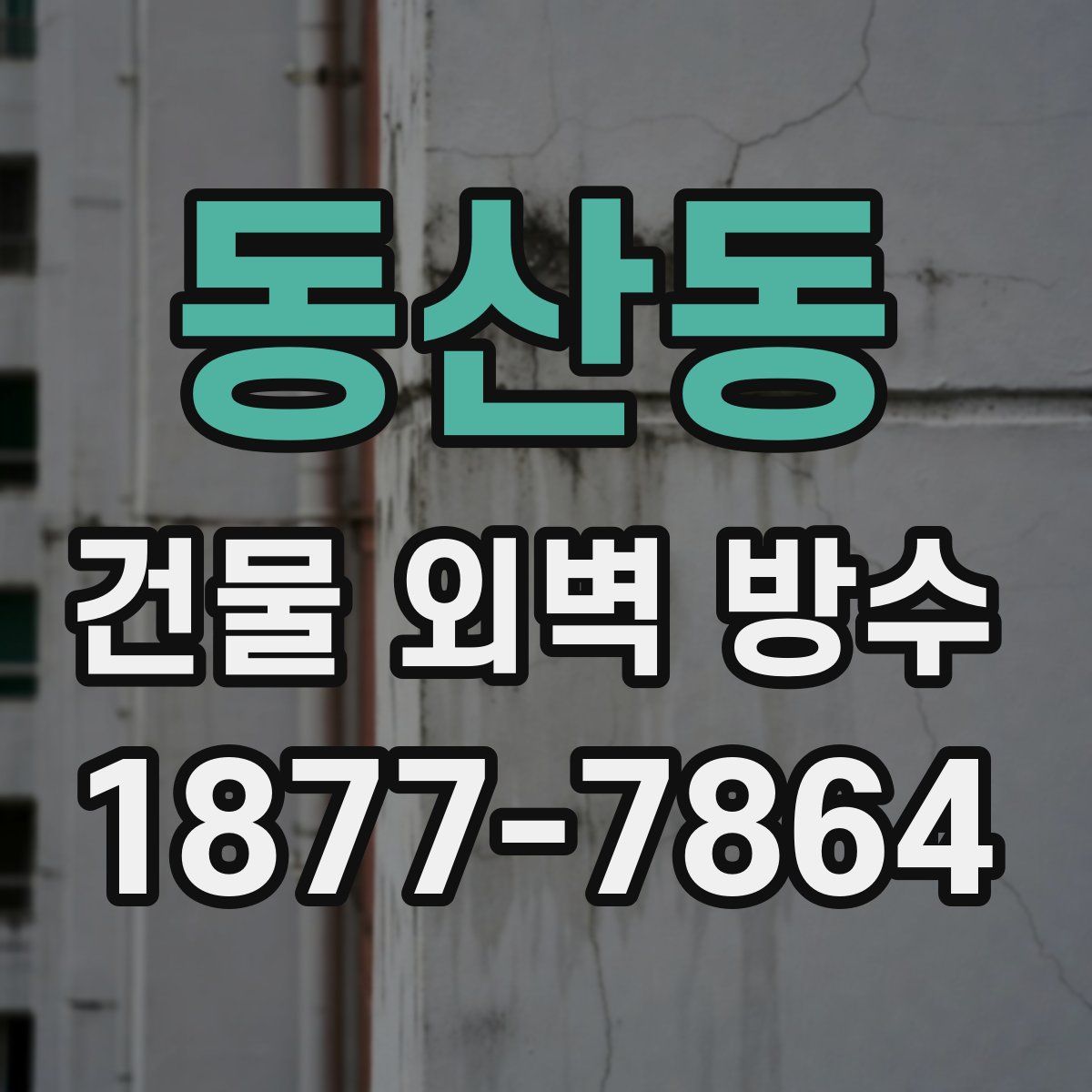 동산동 건물 외벽 방수
