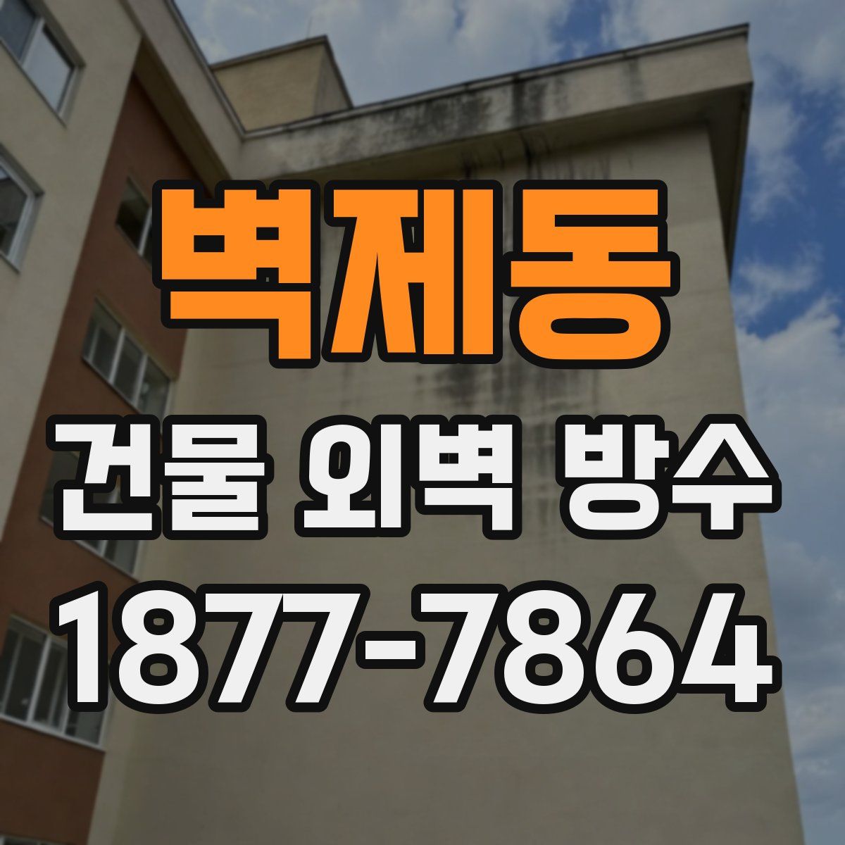 벽제동 건물 외벽 방수