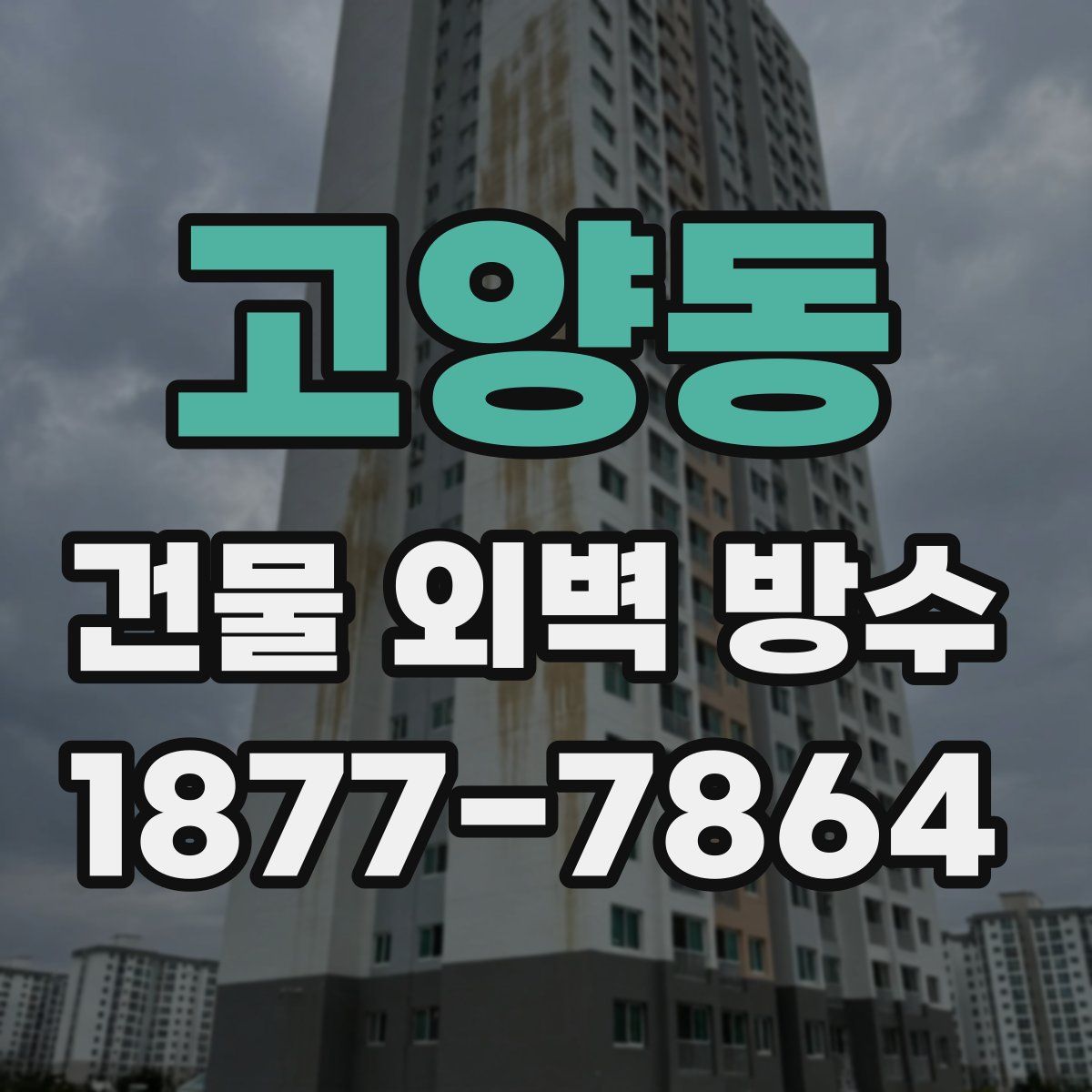 고양동 건물 외벽 방수