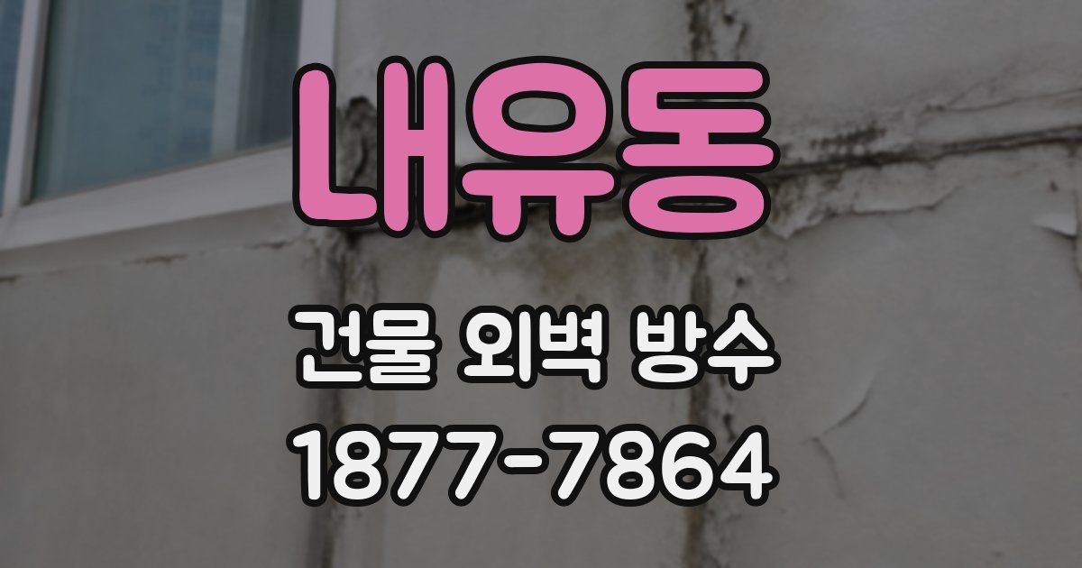 내유동 건물 외벽 방수