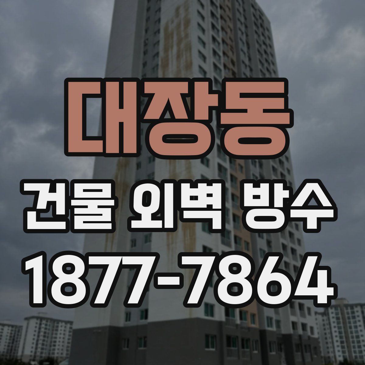 대장동 건물 외벽 방수
