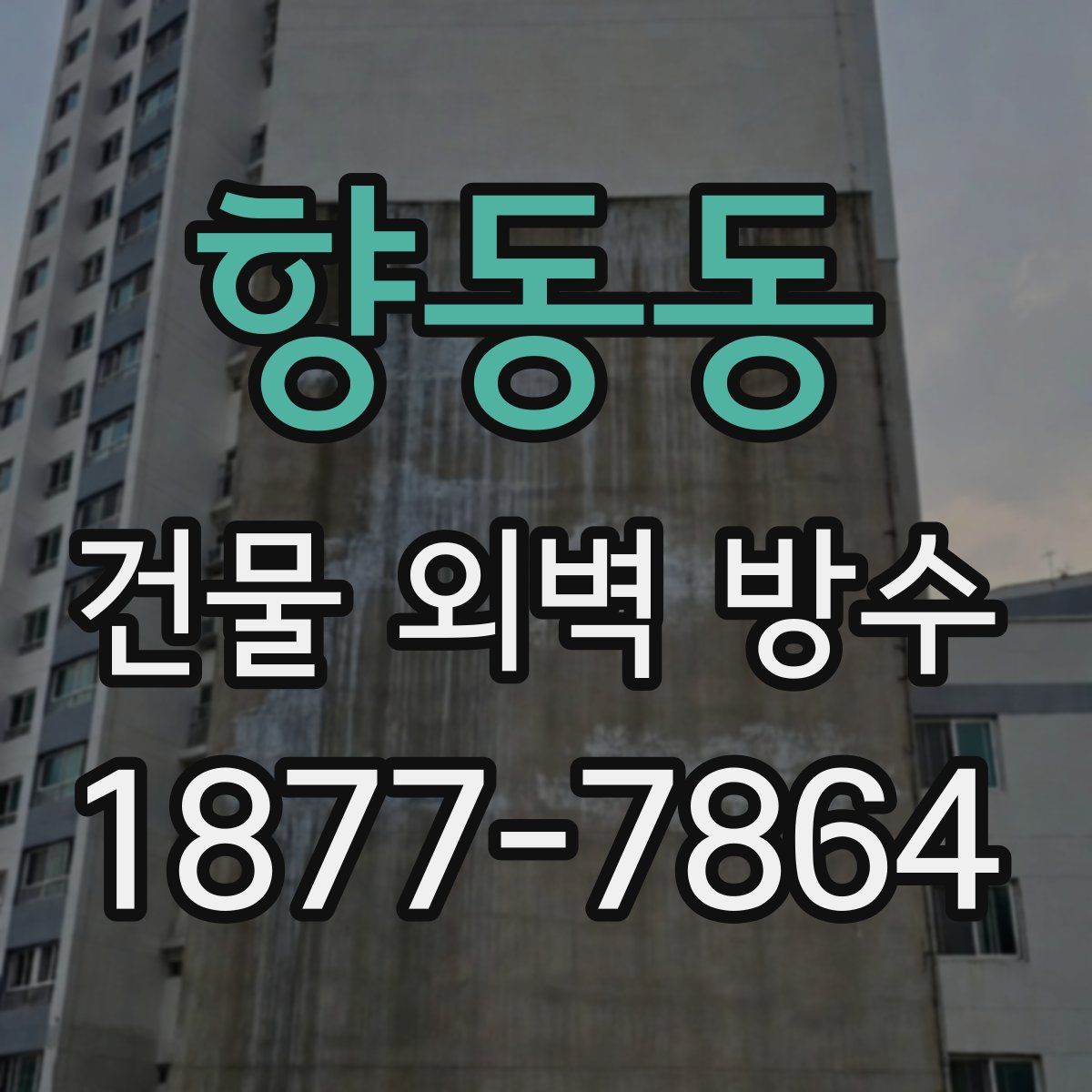 향동동 건물 외벽 방수
