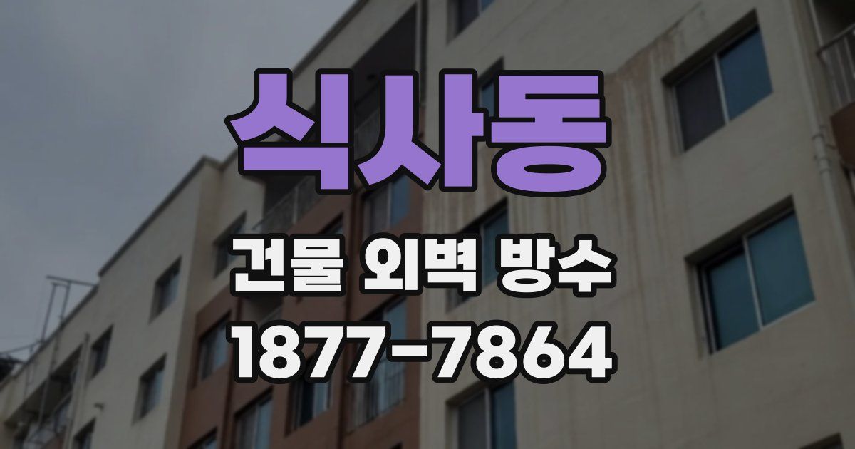 식사동 건물 외벽 방수