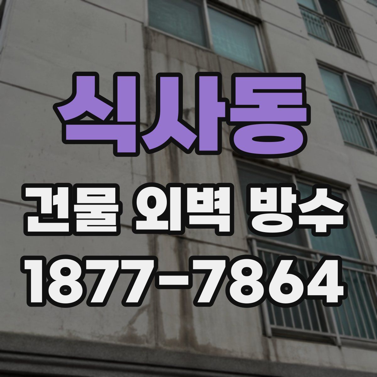 식사동 건물 외벽 방수