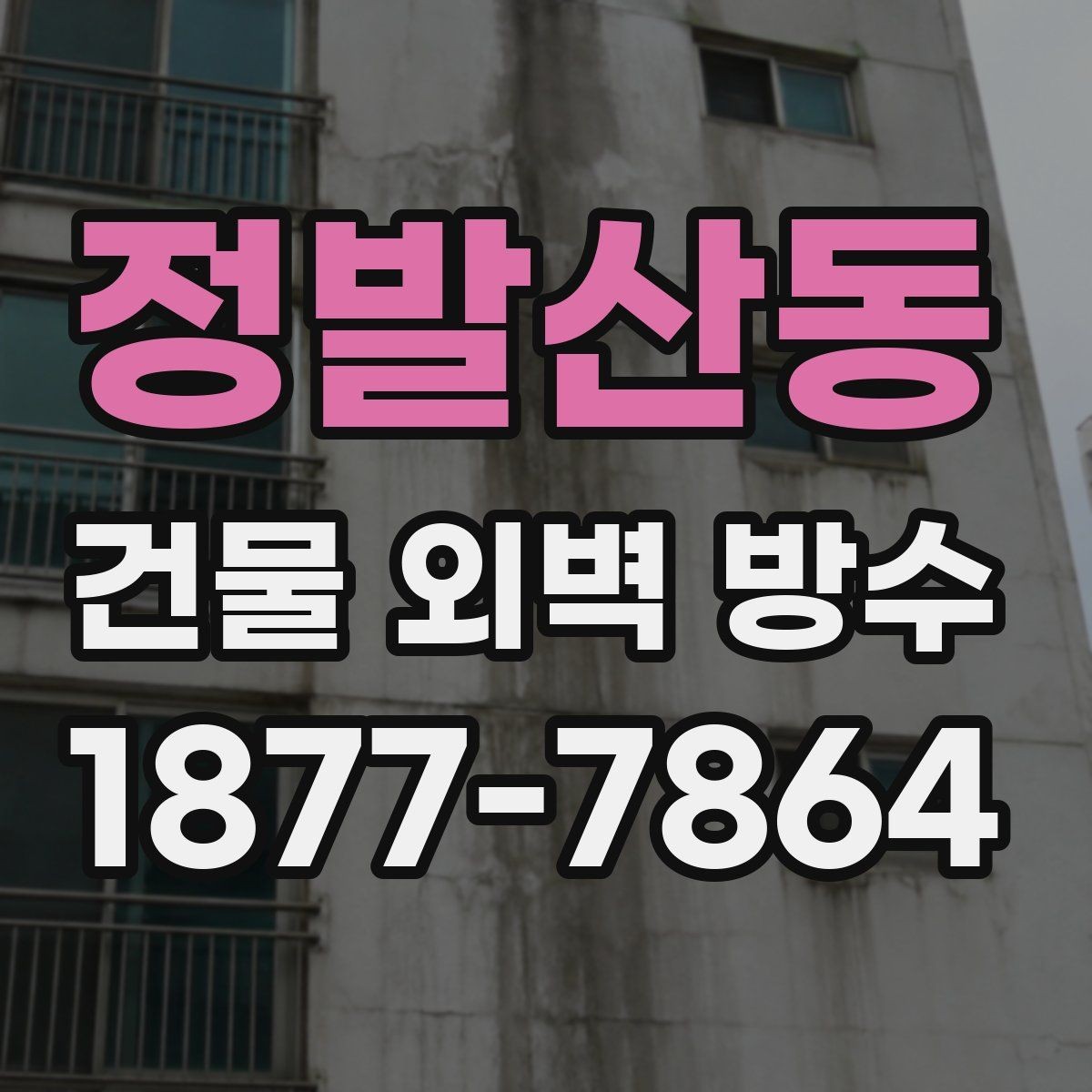 정발산동 건물 외벽 방수 공법 비교로 보는 선택 팁