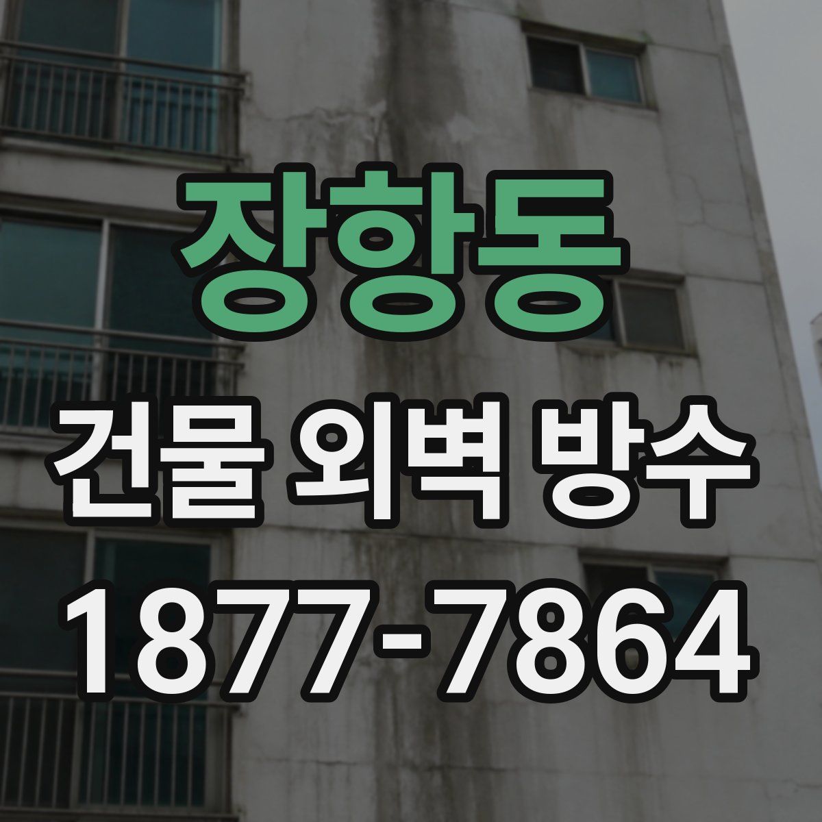 장항동 건물 외벽 방수