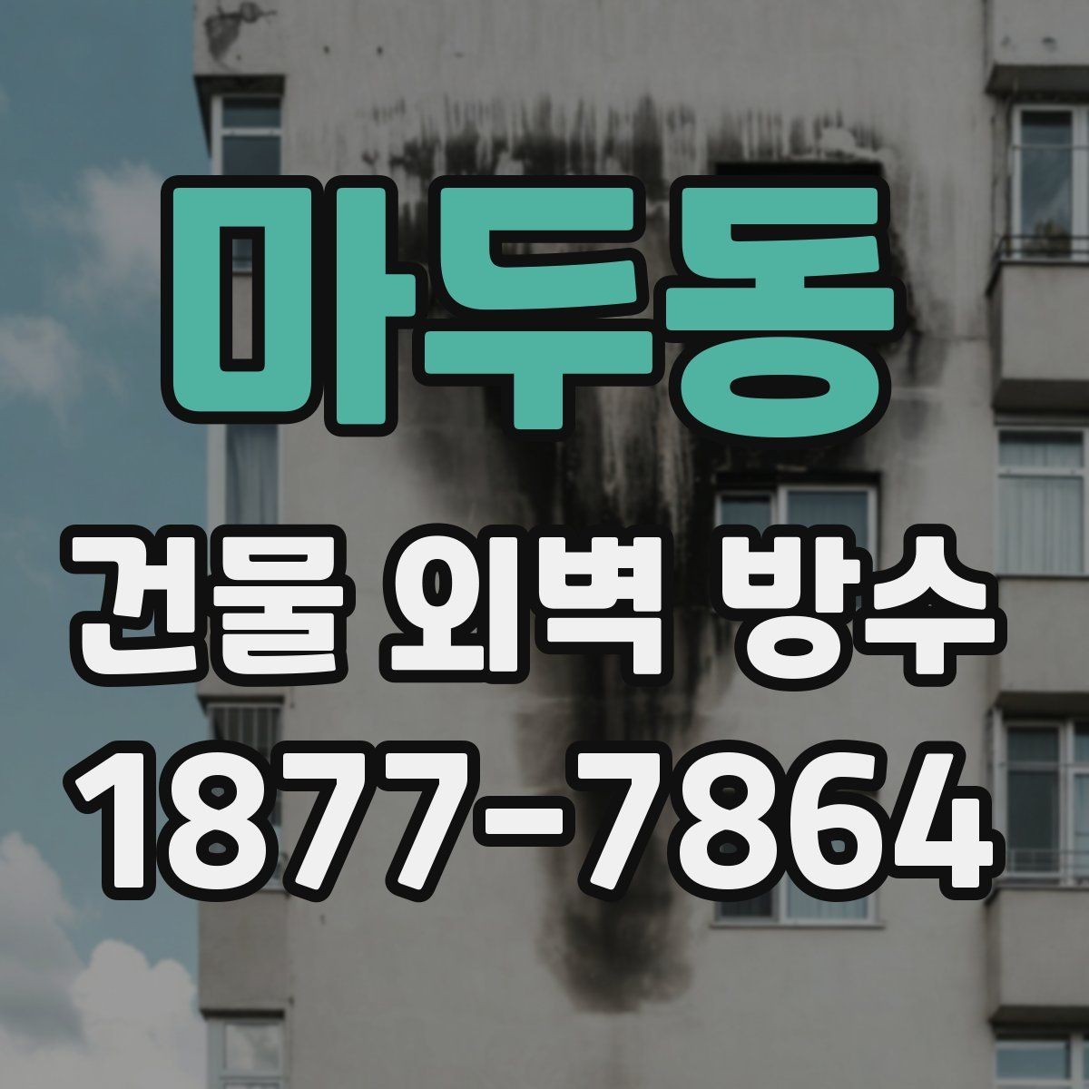 마두동 건물 외벽 방수 진행 전 주변 환경도 확인해야 하는 이유