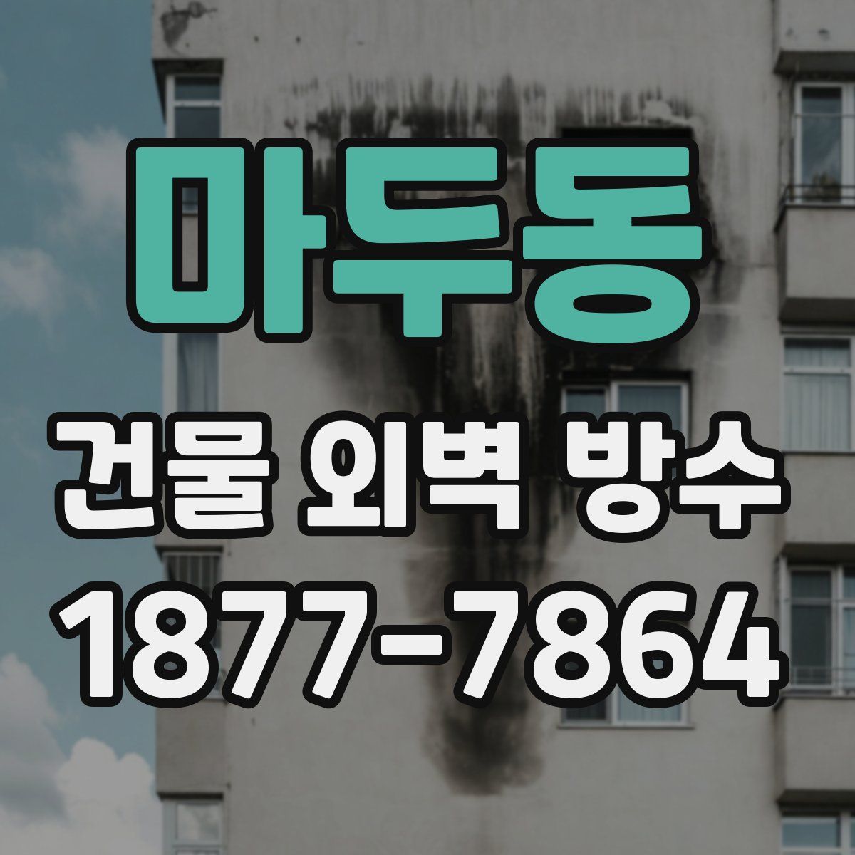 마두동 건물 외벽 방수