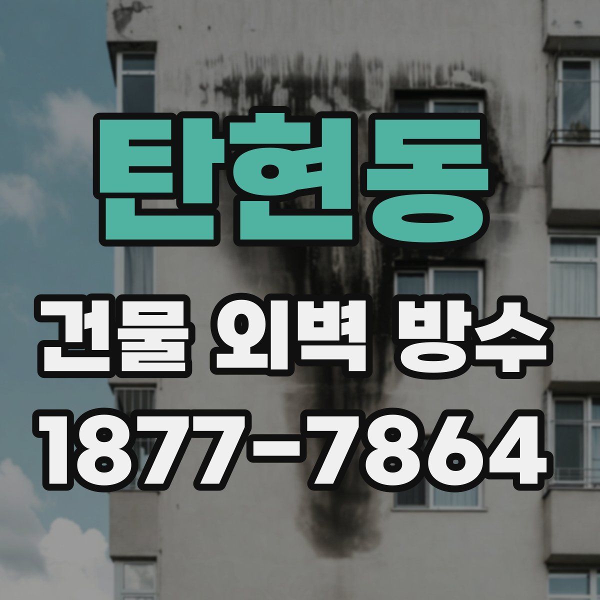 탄현동 건물 외벽 방수