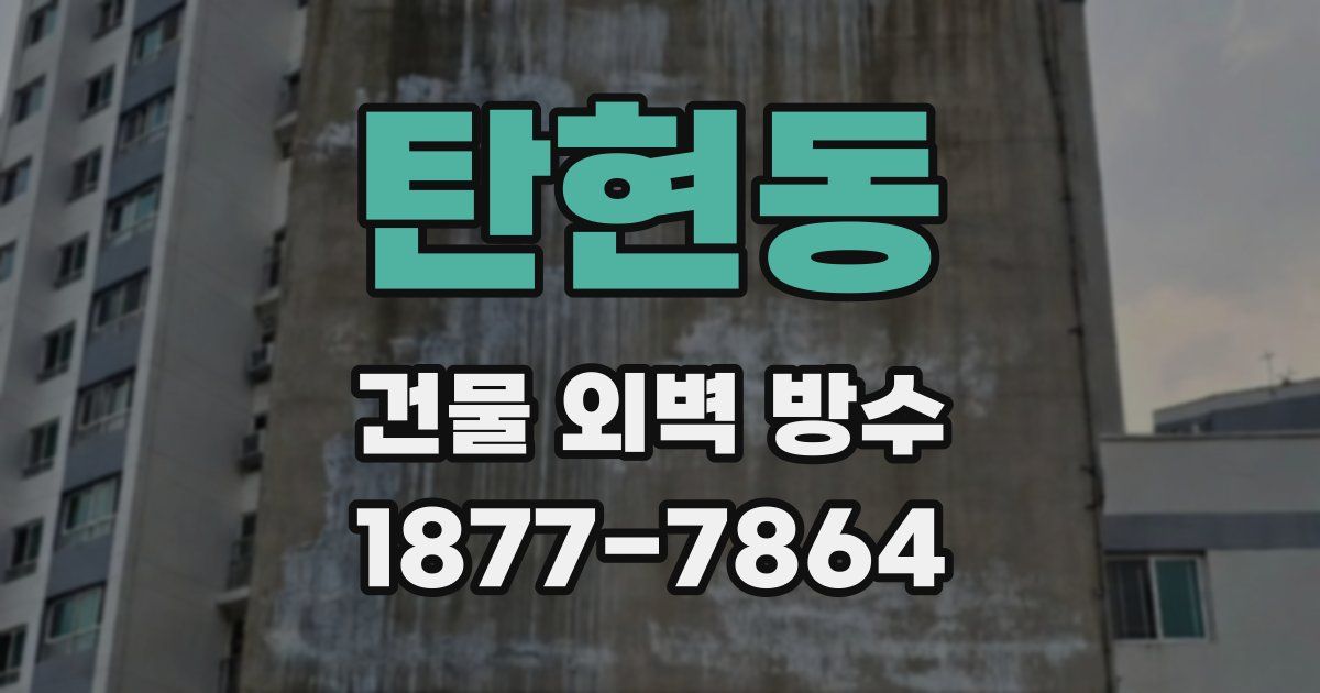 탄현동 건물 외벽 방수
