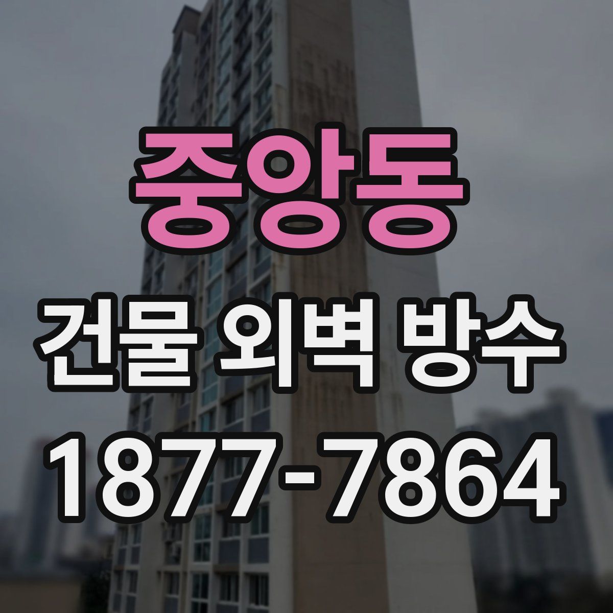 중앙동 건물 외벽 방수