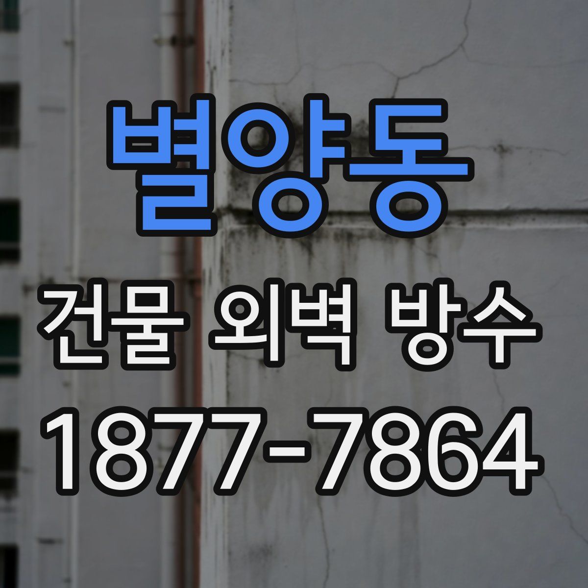 별양동 건물 외벽 방수