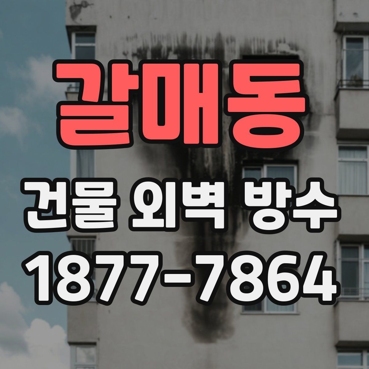 갈매동 건물 외벽 방수 업체를 고를 때 확인할 경력