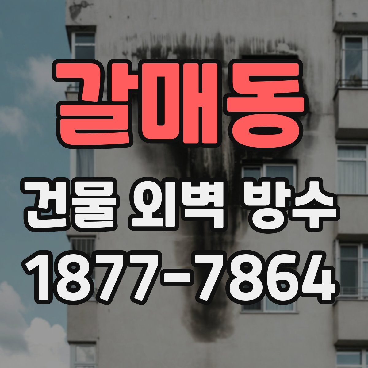 갈매동 건물 외벽 방수
