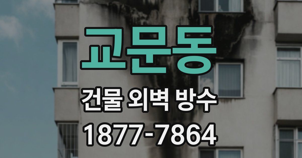교문동 건물 외벽 방수