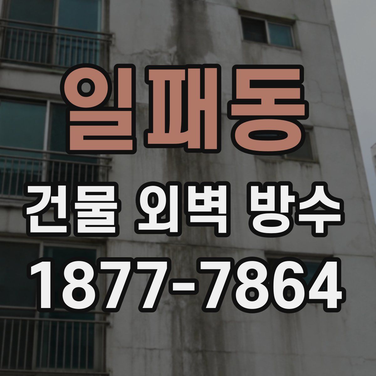 일패동 건물 외벽 방수