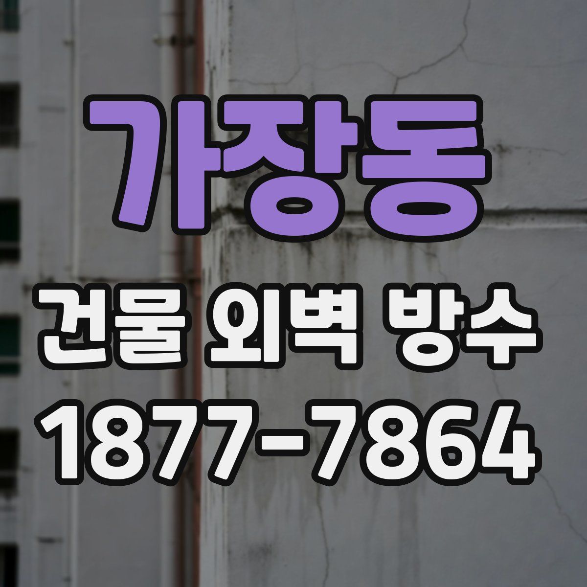 가장동 건물 외벽 방수