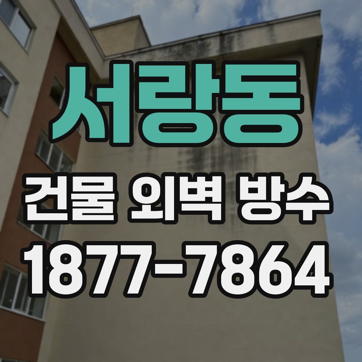 서랑동 건물 외벽 방수
