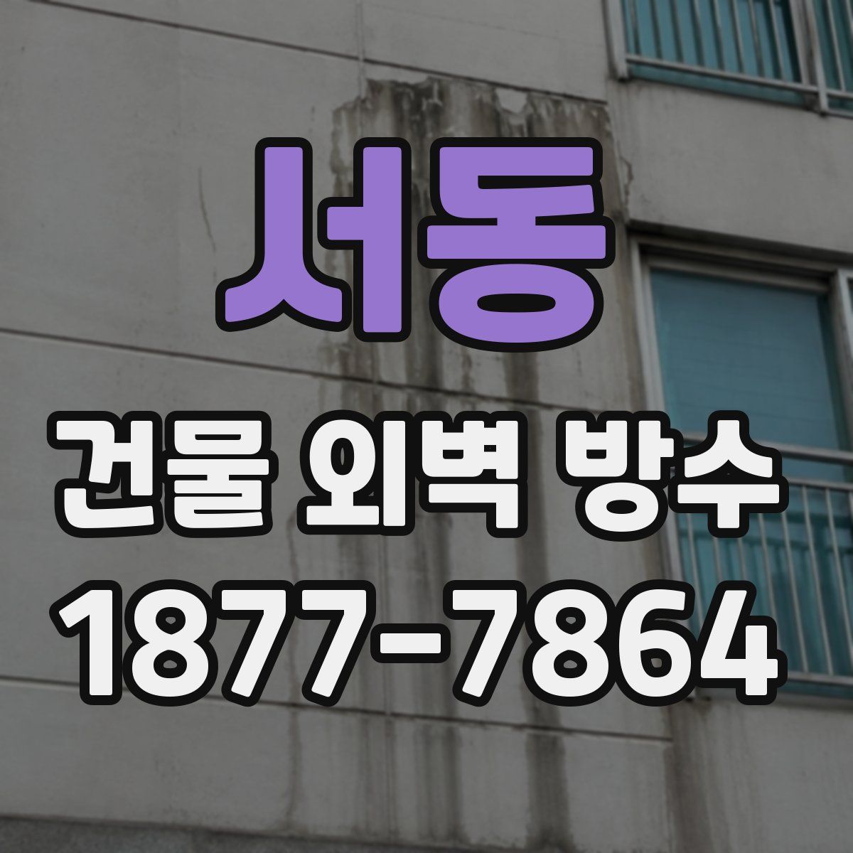 서동 건물 외벽 방수