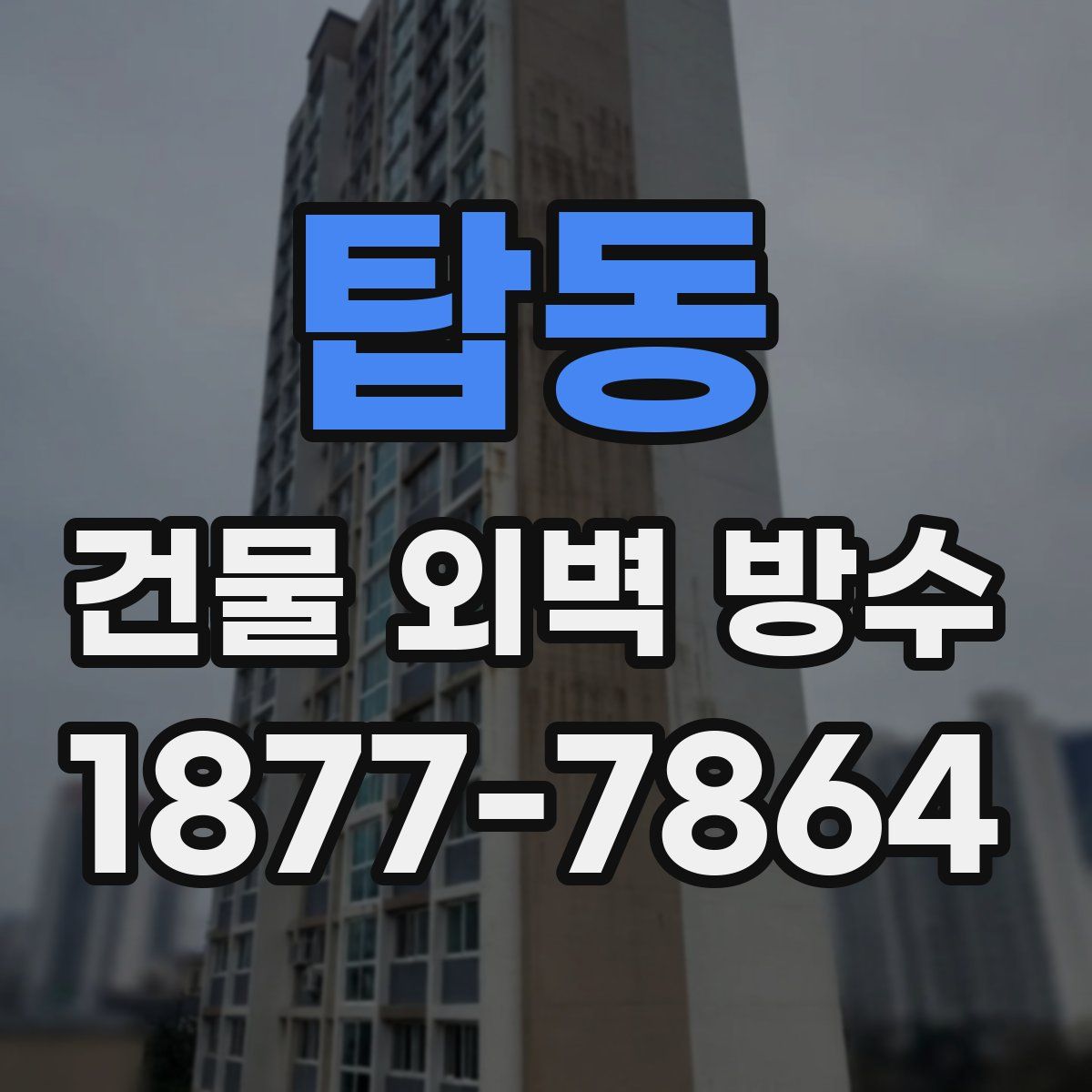 탑동 건물 외벽 방수