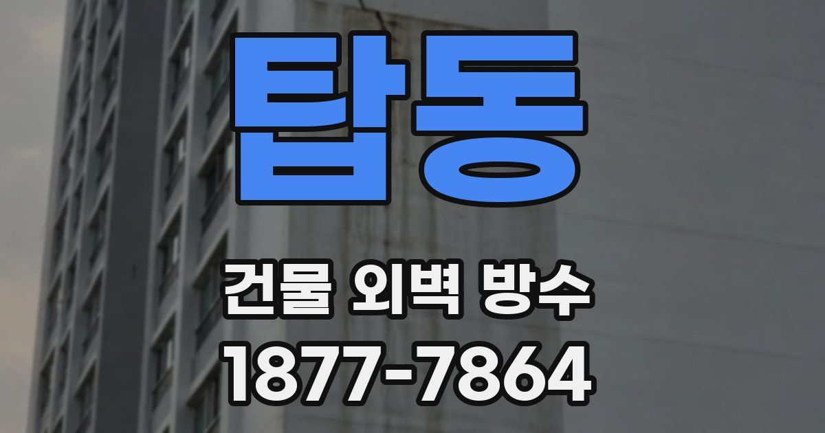 탑동 건물 외벽 방수