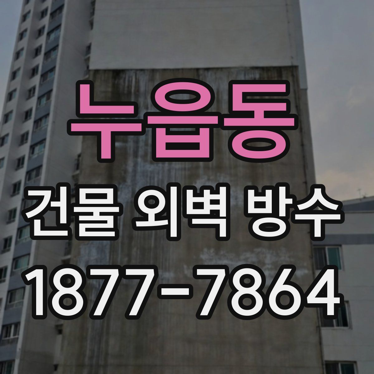누읍동 건물 외벽 방수