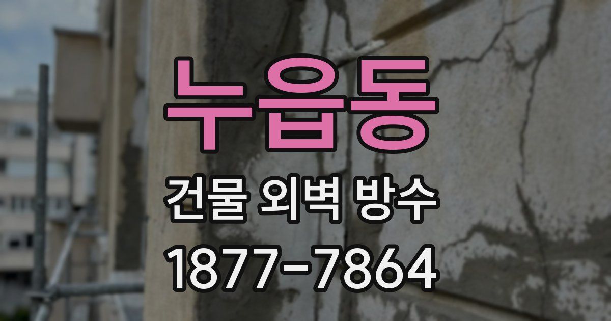 누읍동 건물 외벽 방수