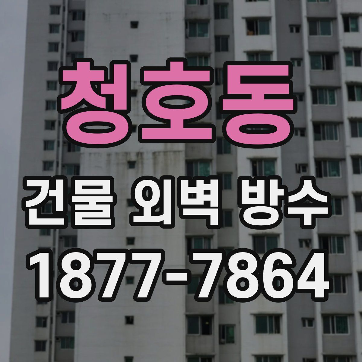 청호동 건물 외벽 방수