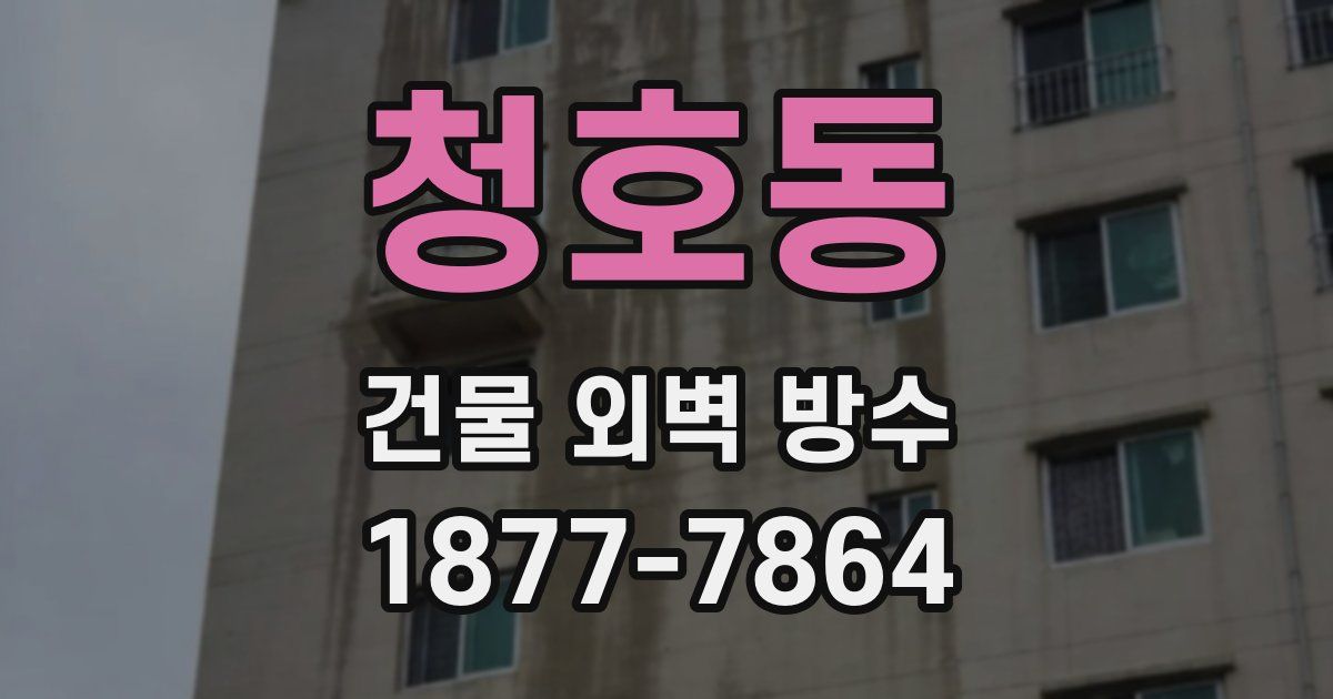 청호동 건물 외벽 방수
