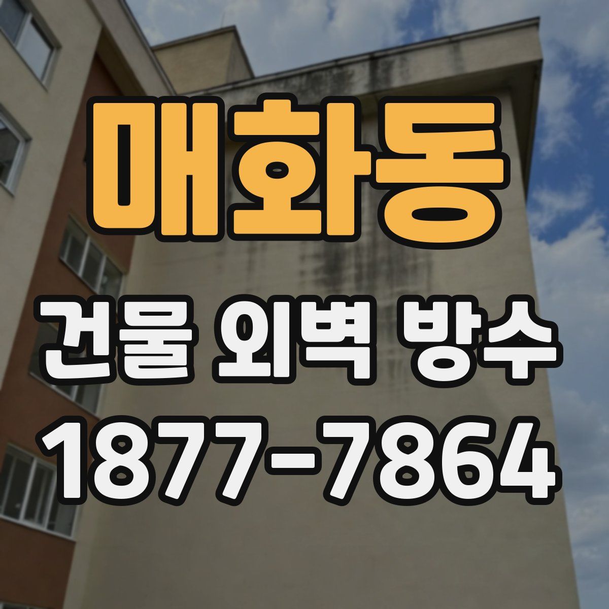 매화동 건물 외벽 방수