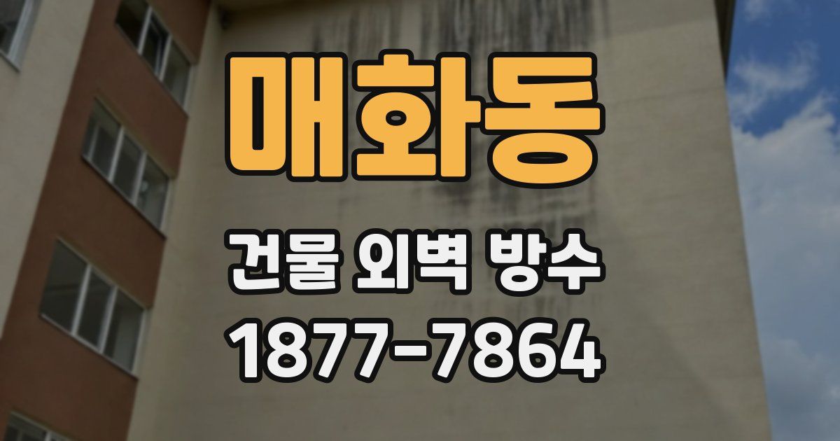 매화동 건물 외벽 방수