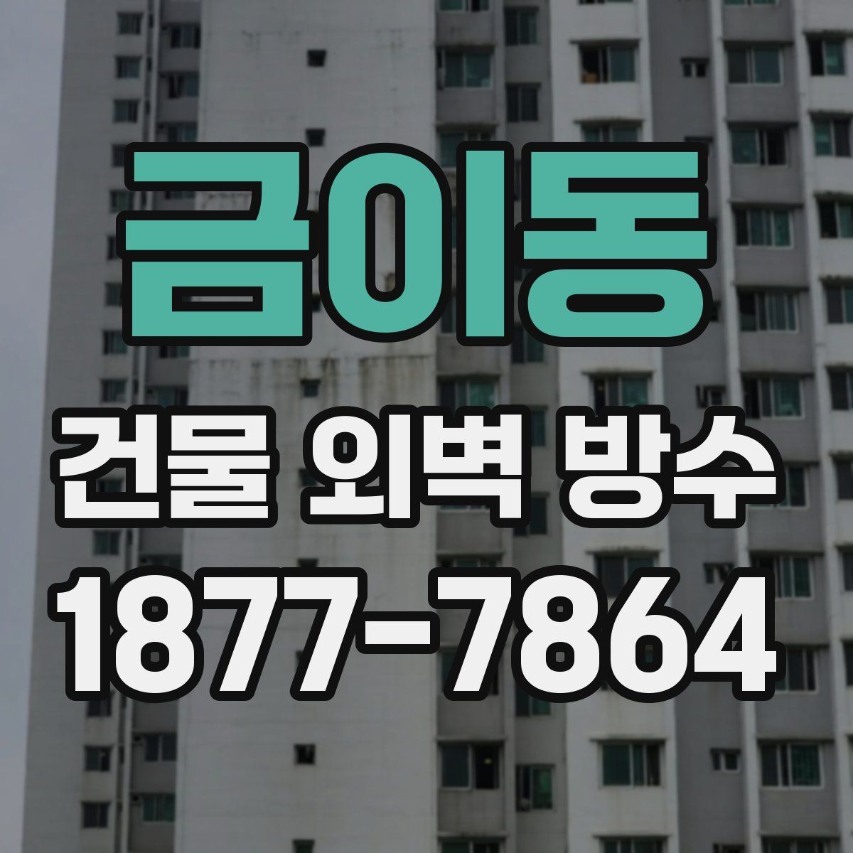 금이동 건물 외벽 방수