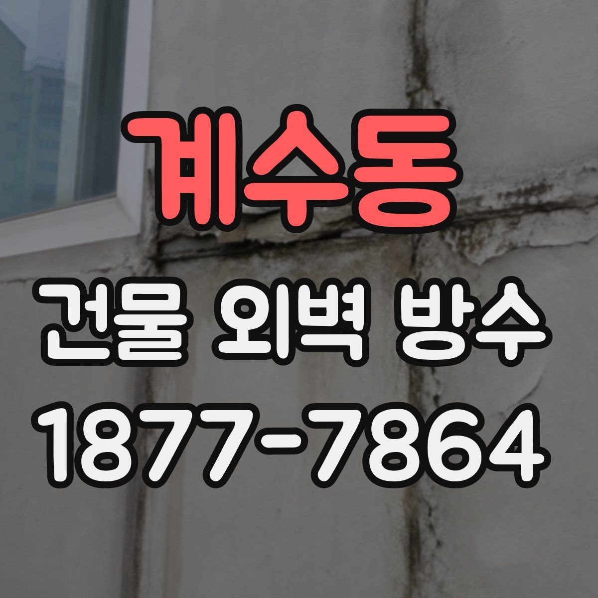 계수동 건물 외벽 방수