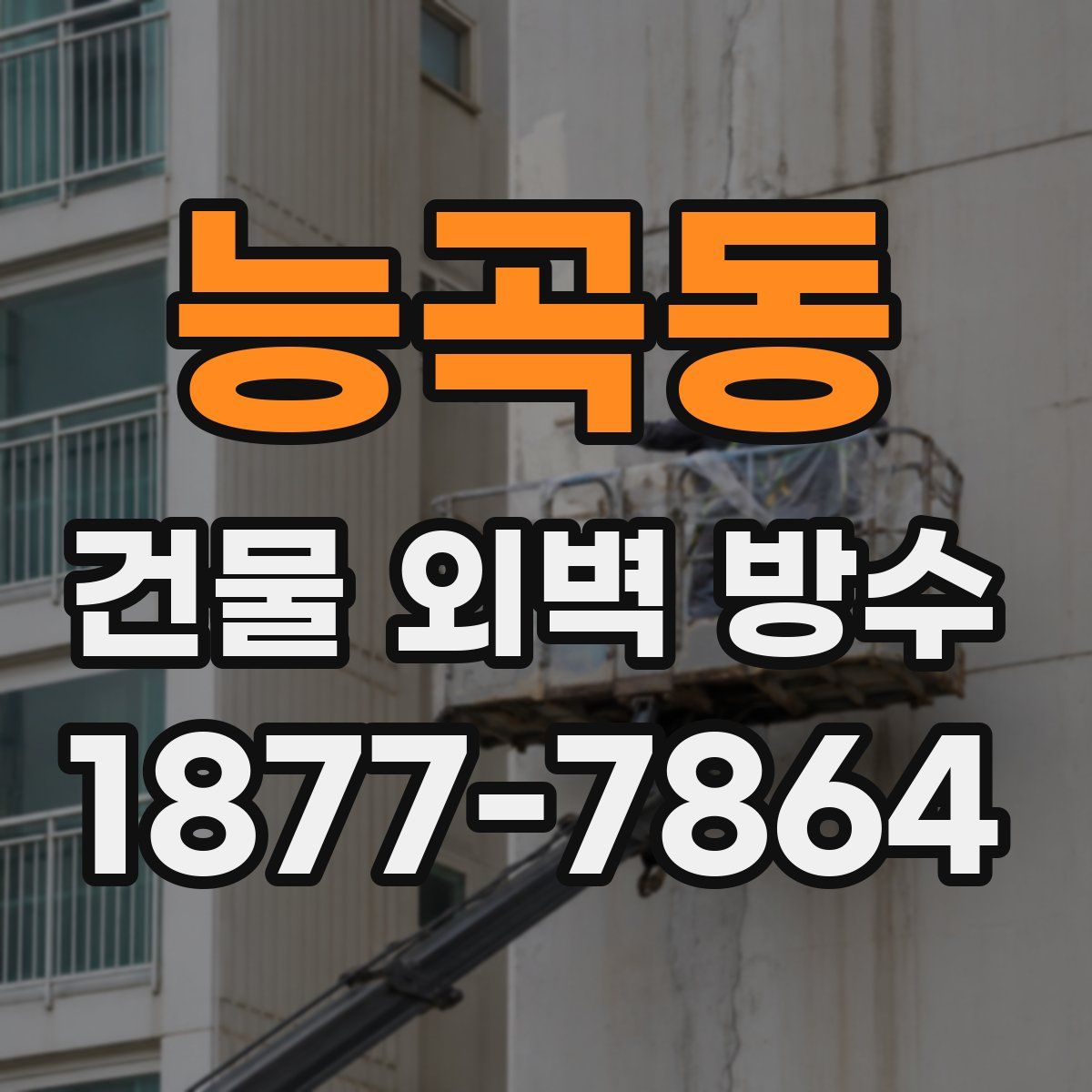 능곡동 건물 외벽 방수