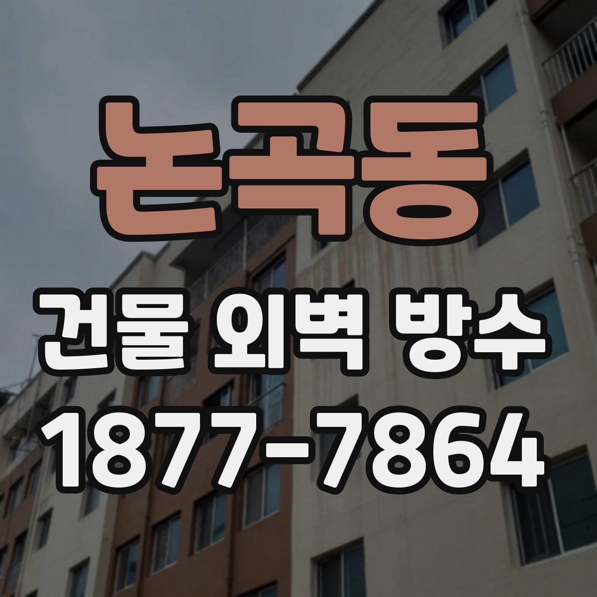 논곡동 건물 외벽 방수