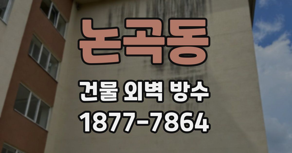논곡동 건물 외벽 방수