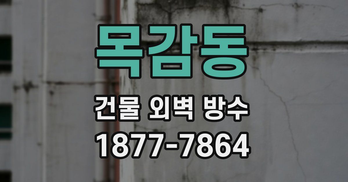 목감동 건물 외벽 방수