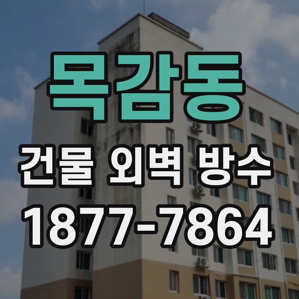 목감동 건물 외벽 방수