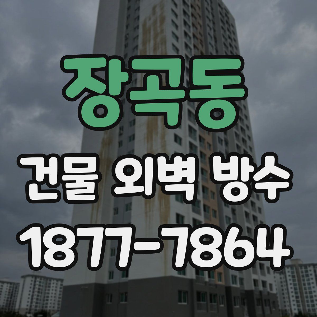 장곡동 건물 외벽 방수