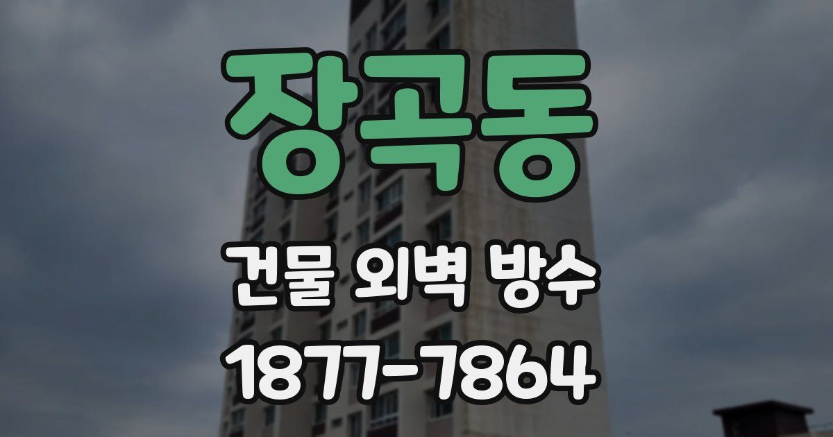 장곡동 건물 외벽 방수