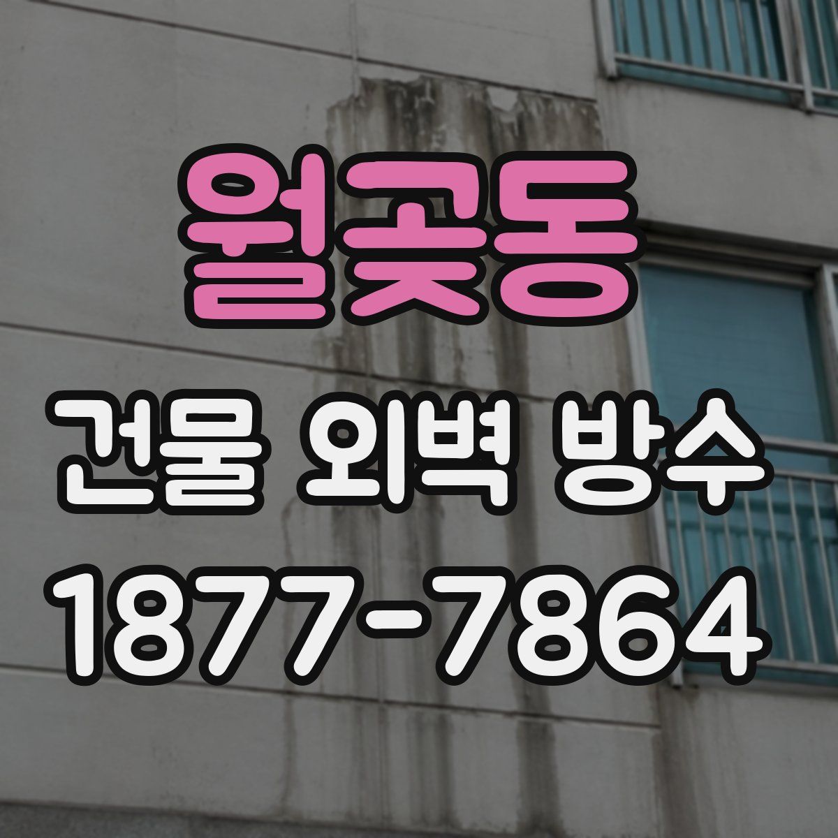 월곶동 건물 외벽 방수