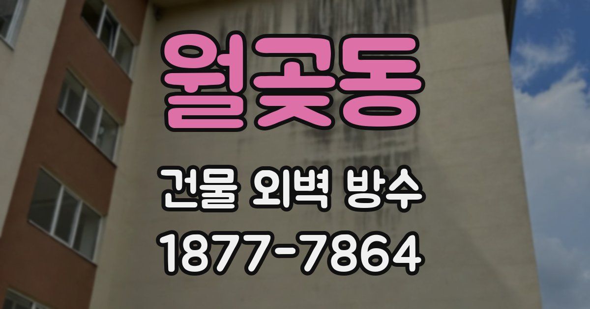 월곶동 건물 외벽 방수