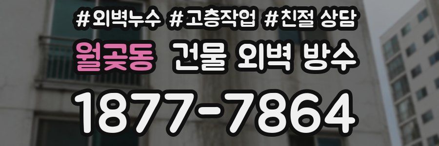 월곶동 건물 외벽 방수