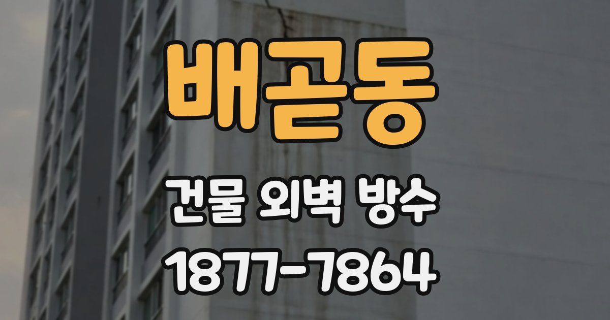 배곧동 건물 외벽 방수
