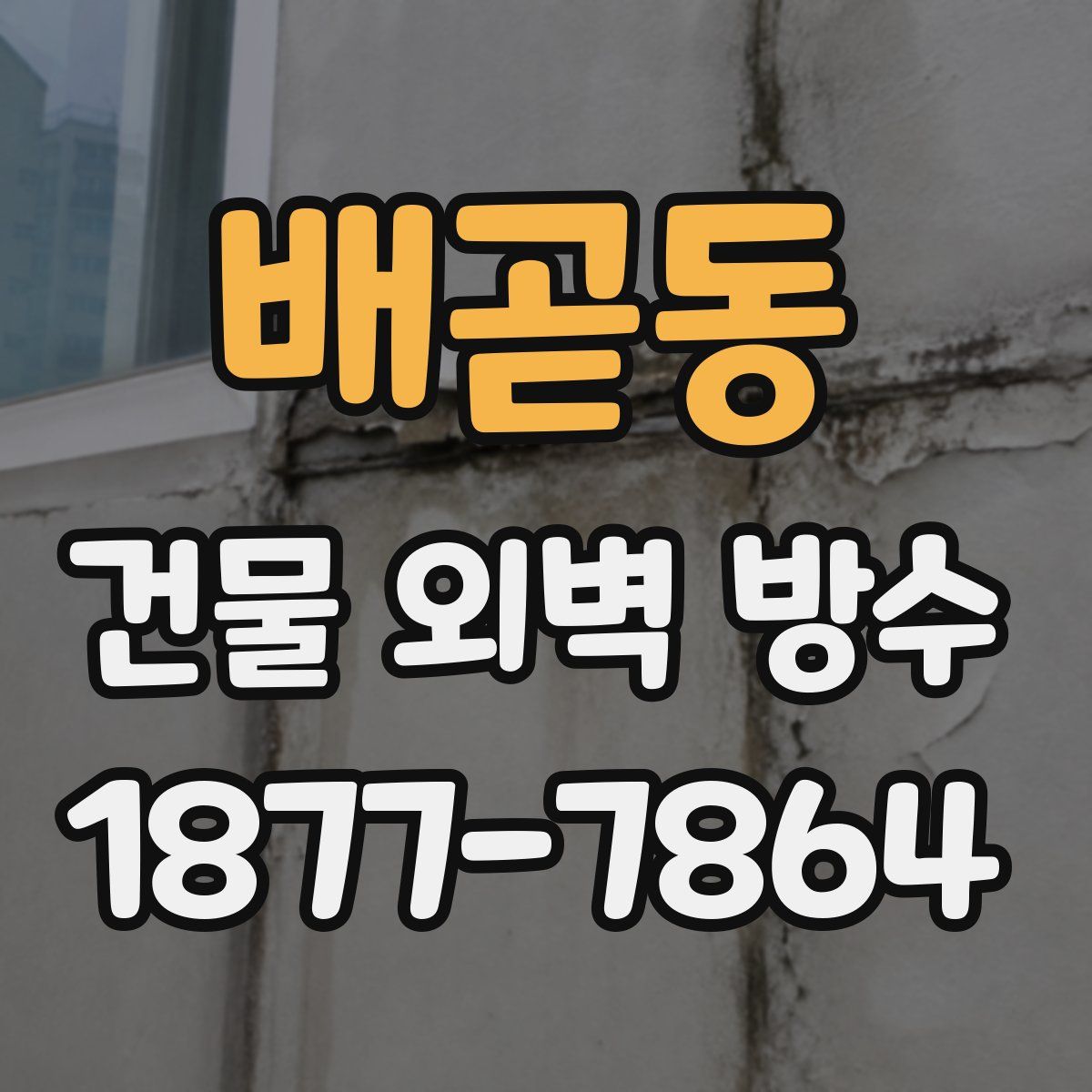 배곧동 건물 외벽 방수